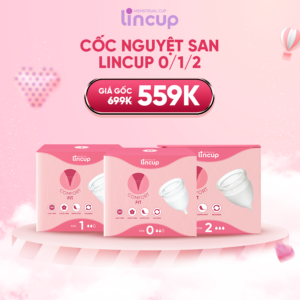 Lincup chính hãng giá ưu đãi chỉ còn 599K