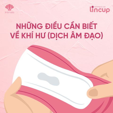 Những Điều Cần Biết Về Khí Hư (Dịch Âm Đạo)